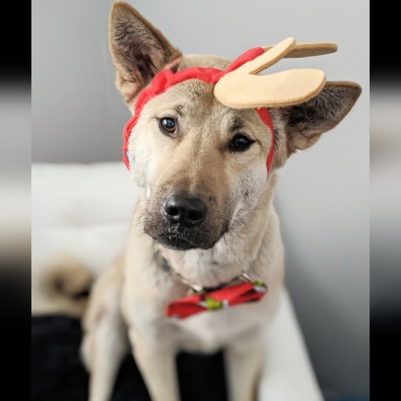 This is Your Stuff - Picture 1 of 1